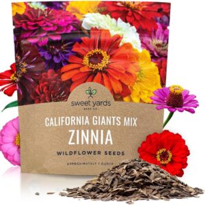 بذور زهرة الزينيا - تزهر على مدار الفصول